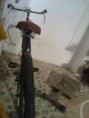 /album/acquilonia-bisaccia/a2016-04-27-11-54-32-jpg/